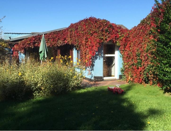 Blaues Haus Neu Reddevitz Villa Lancken-Granitz Luaran gambar